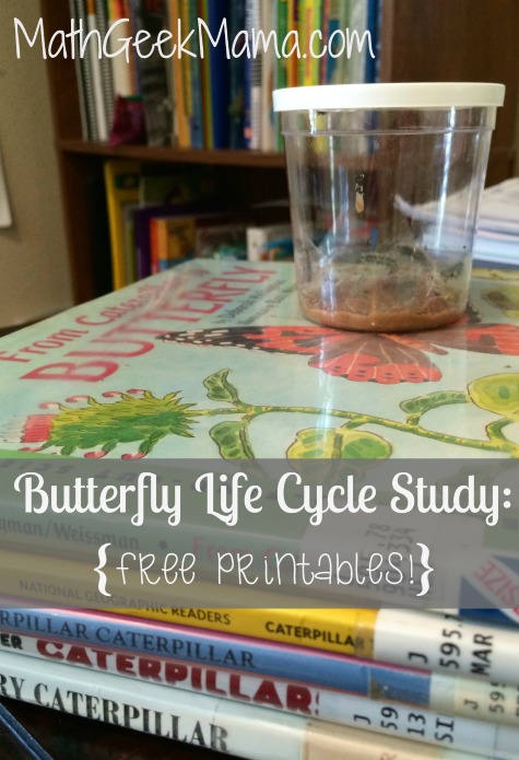 From Caterpillar to Butterfly: Our Plans for the Week {And FREE Math Worksheets!}