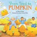 From seed to pumpkin