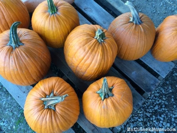 How Much Do Pumpkins Usually Cost