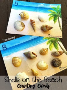 Shells-on-the-Beach-Counting-Cards