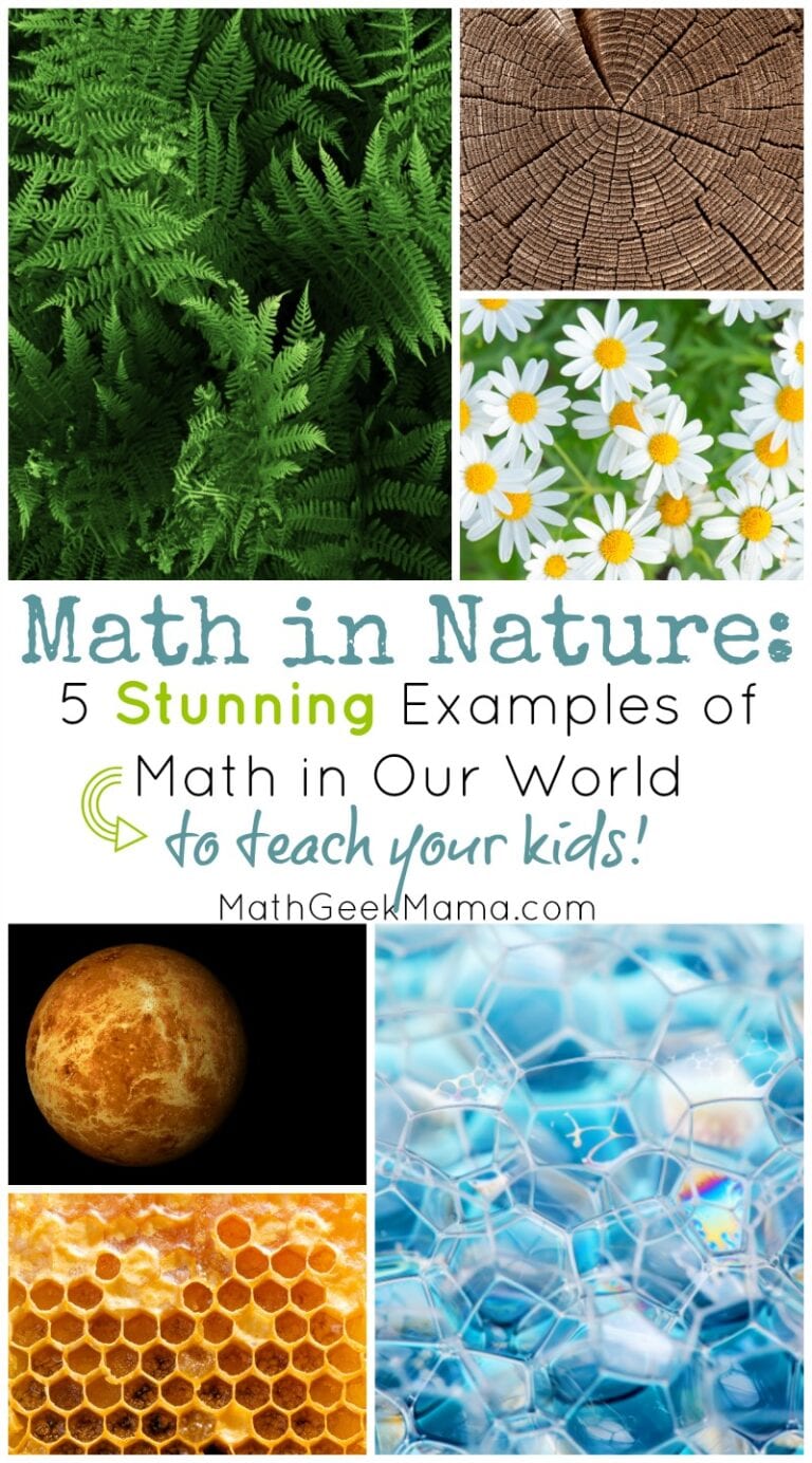 Math in Nature: 5 Stunning Ways We See Math in the World